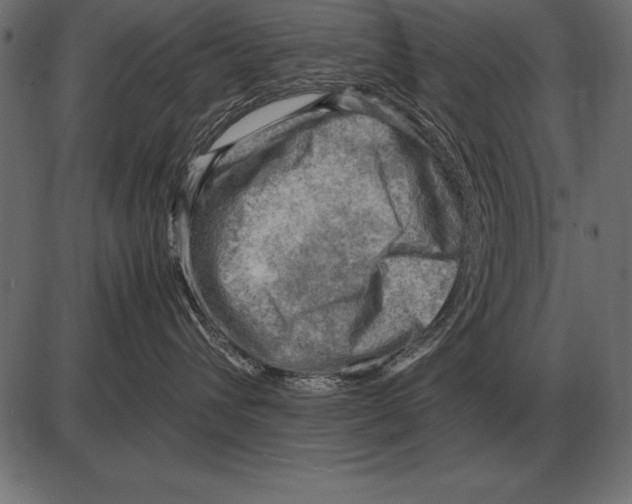 X0000085740432200704091514