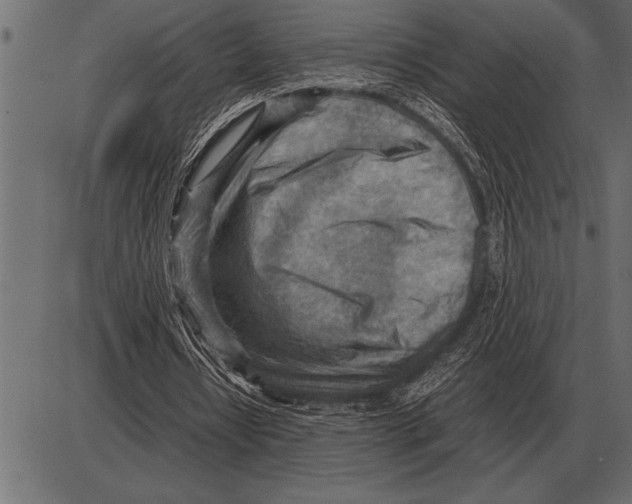 X0000085740434200704091514