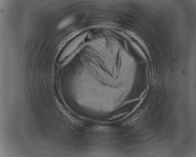 X0000085740437200704091514