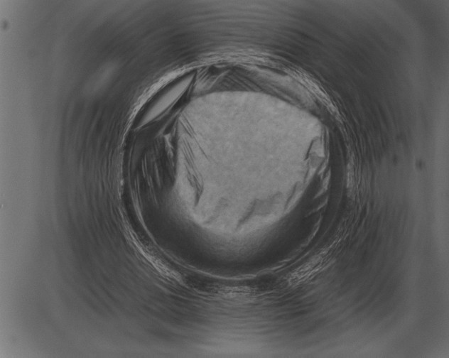 X0000085740438200704091514