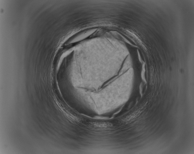 X0000085740439200704091514