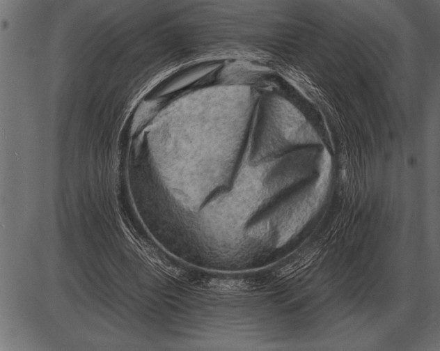 X0000085740440200704091514