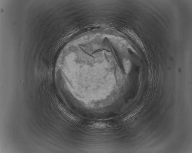 X0000085740441200704091514