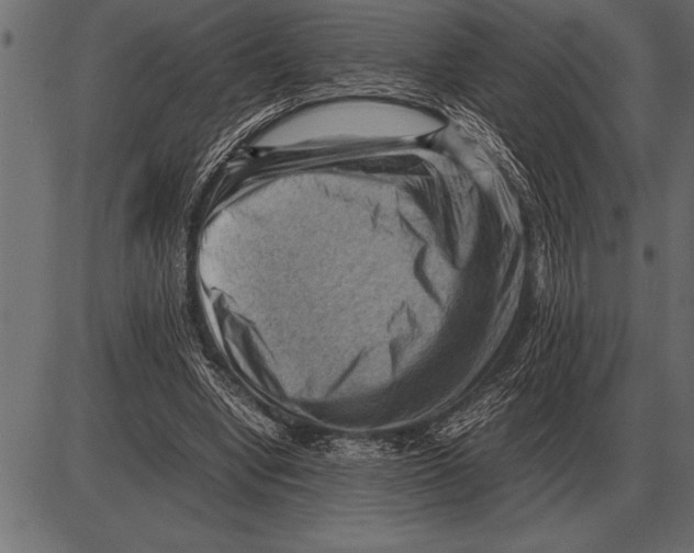 X0000085740442200704091514
