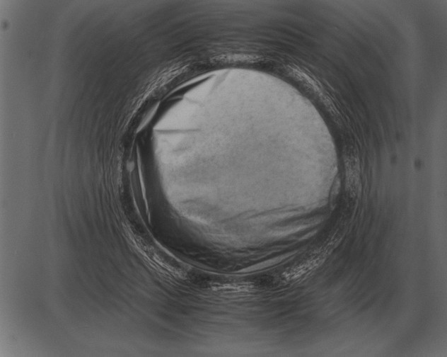 X0000085740447200704091514