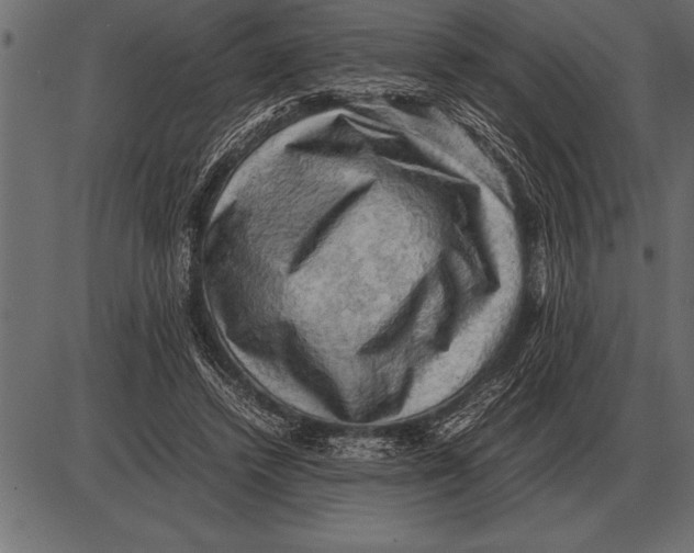 X0000085740448200704091514