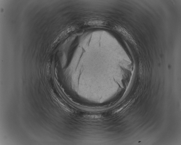 X0000085740449200704091514
