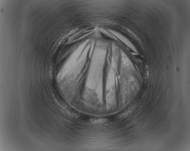 X0000085740452200704091514
