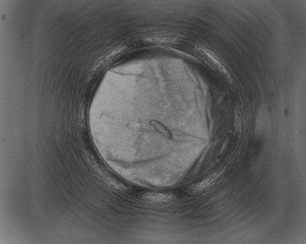 X0000085740453200704091514