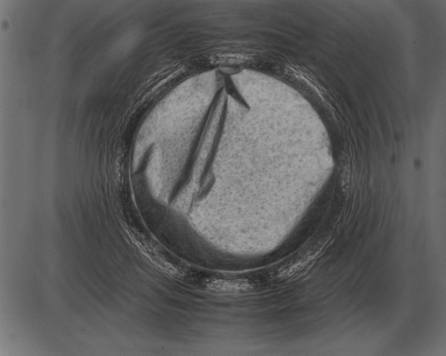 X0000085740455200704091514