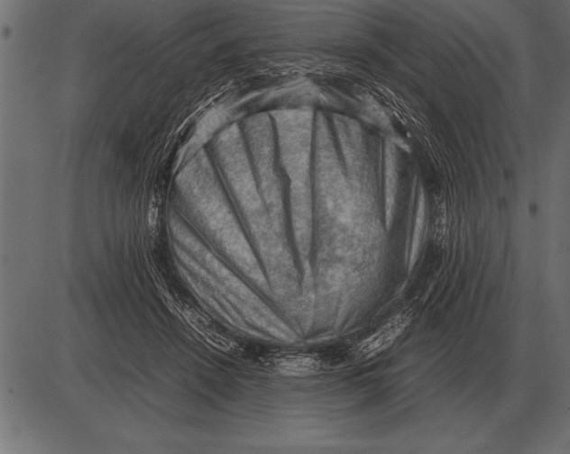 X0000085740456200704091514