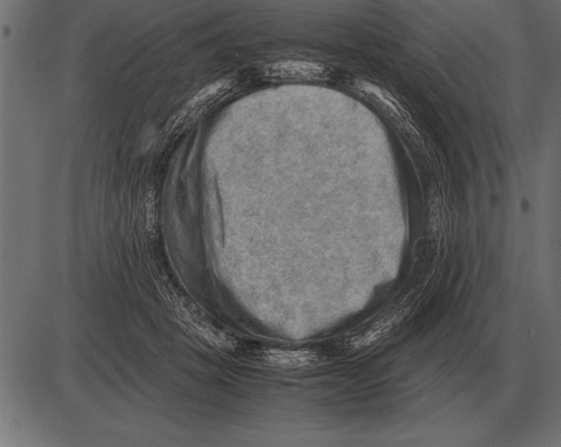 X0000085740457200704091514