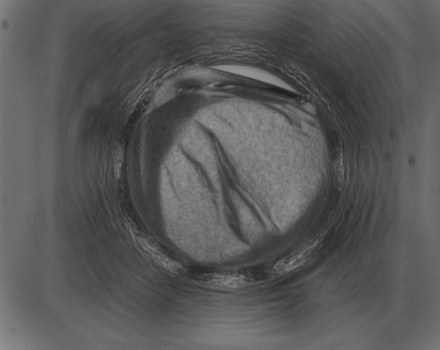 X0000085740458200704091514