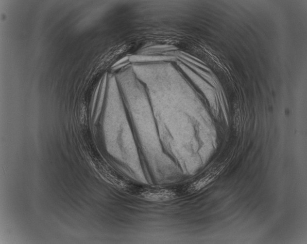 X0000085740459200704091514