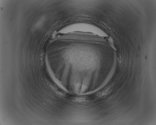 X0000085740462200704091514