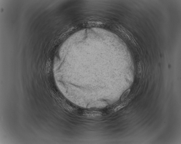 X0000085740463200704091514