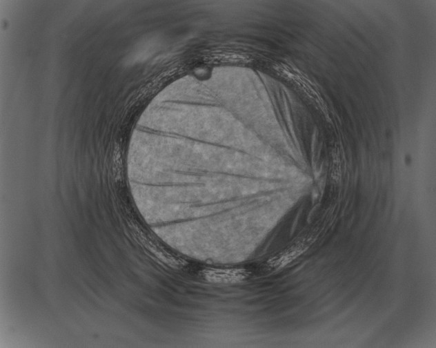 X0000085740465200704091514