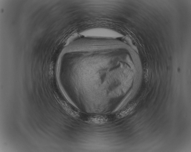 X0000085740466200704091514