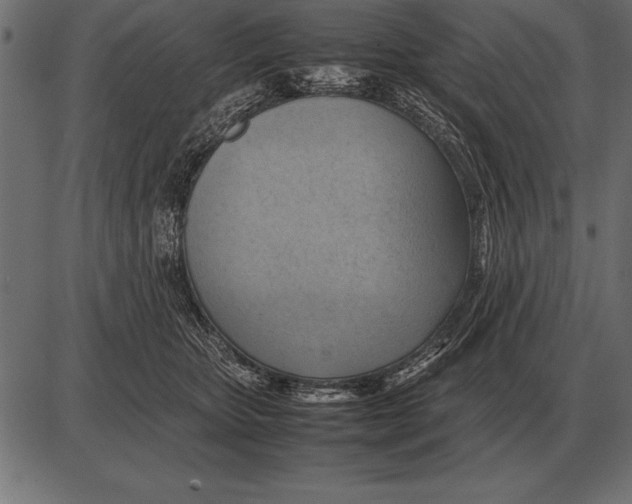 X0000085740467200704091514