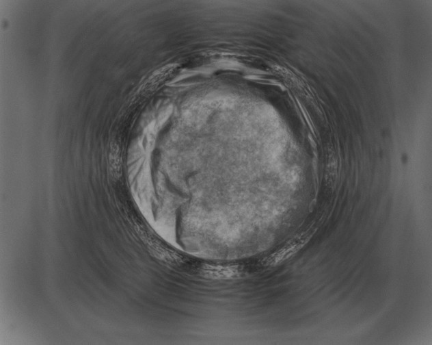 X0000085740469200704091514