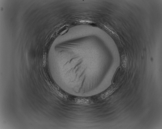 X0000085740471200704091514