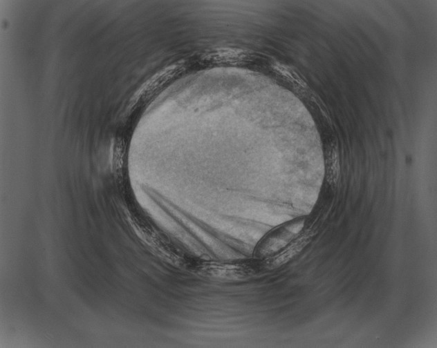 X0000085740472200704091514