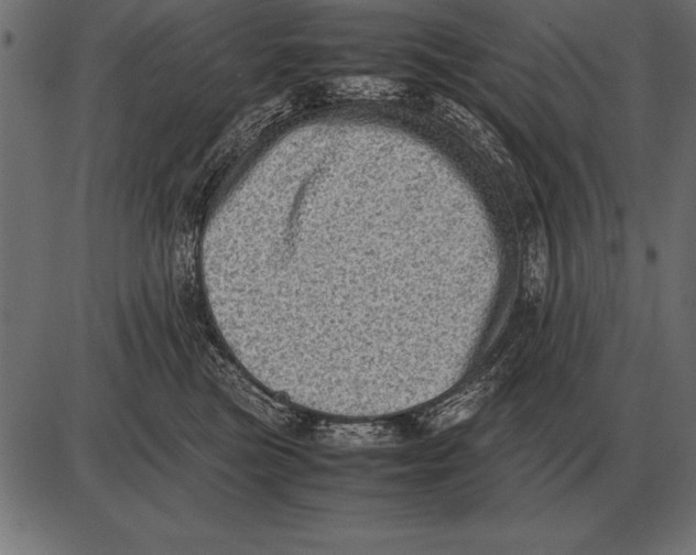 X0000085740473200704091514