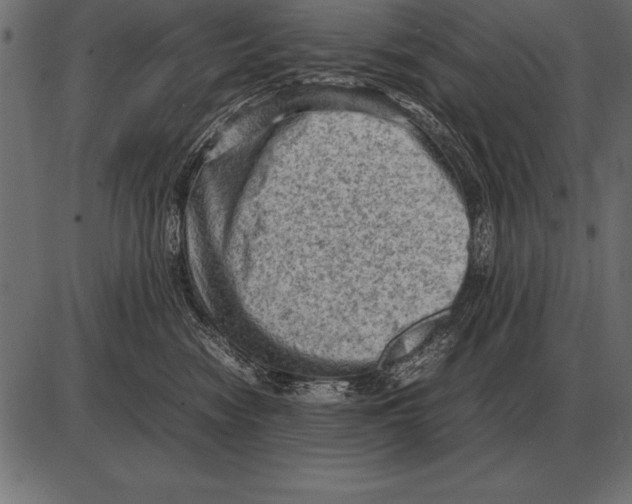 X0000085740474200704091514