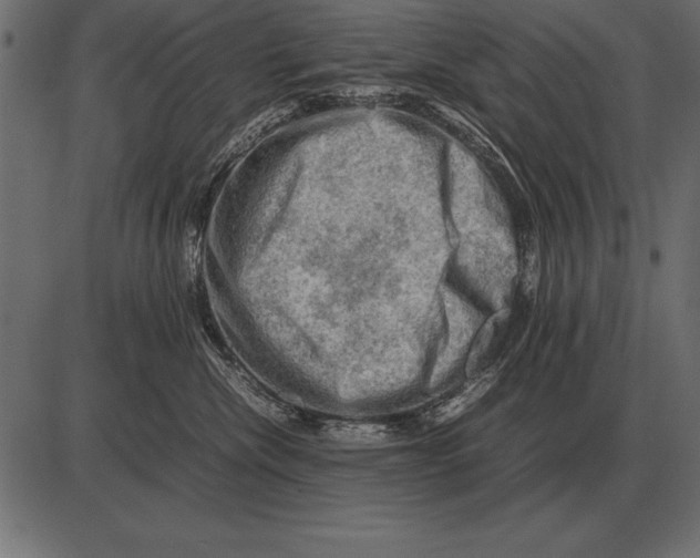 X0000085740476200704091514