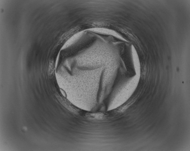 X0000085740478200704091514