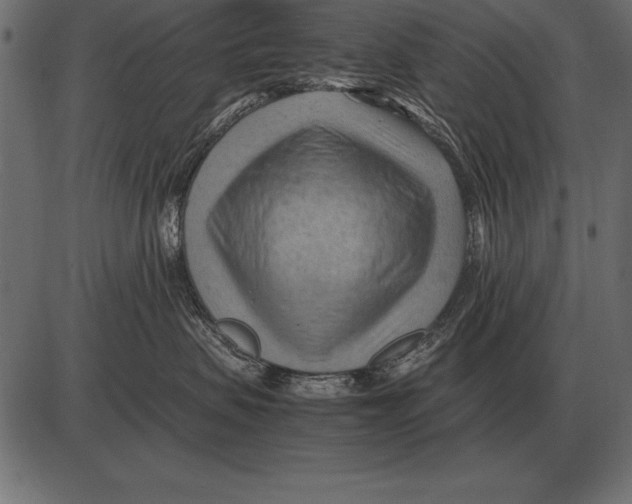 X0000085740479200704091514