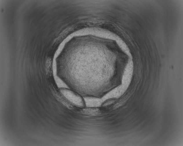 X0000085740480200704091514