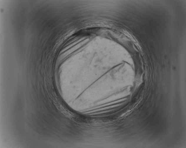 X0000085740481200704091514