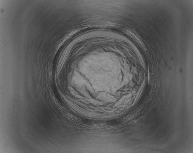 X0000085740483200704091514