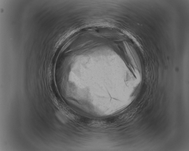 X0000085740487200704091513