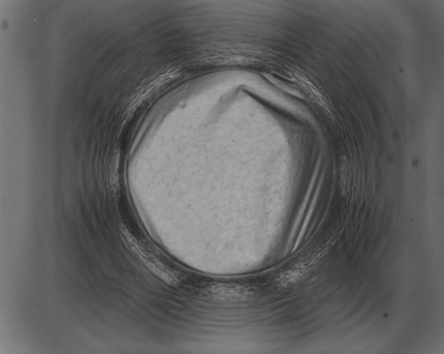 X0000085740490200704091513