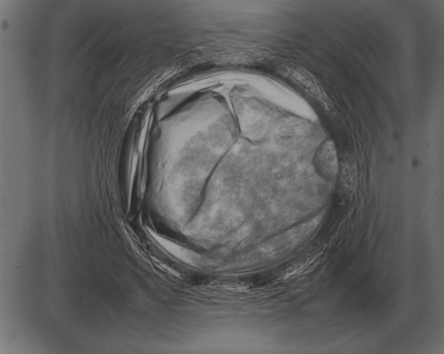 X0000085740491200704091513