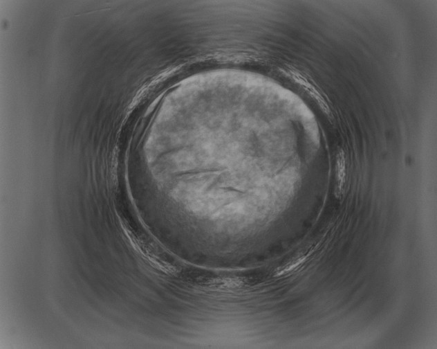 X0000085740492200704091513