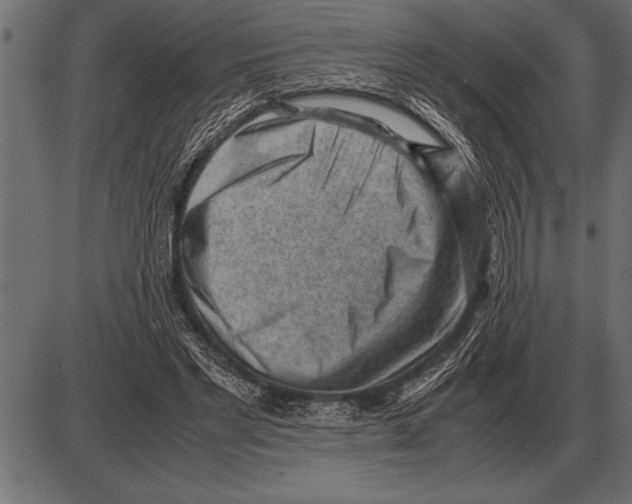 X0000085740493200704091513