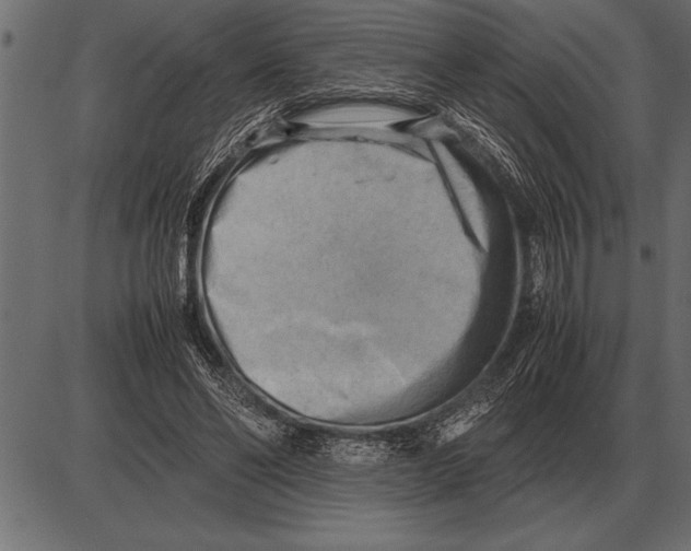 X0000085740494200704091513
