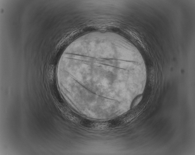 X0000085740495200704091513