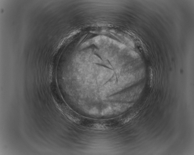 X0000085740496200704091513