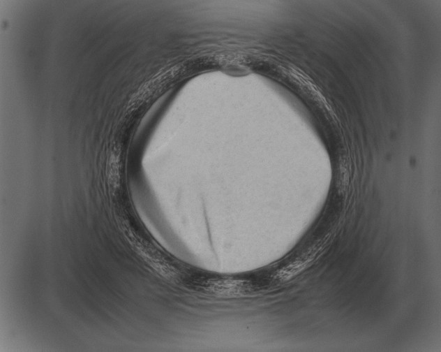 X0000085740497200704091513