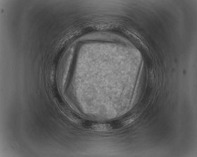 X0000085740499200704091513