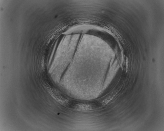 X0000085740500200704091513
