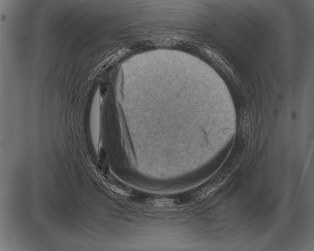 X0000085740501200704091513