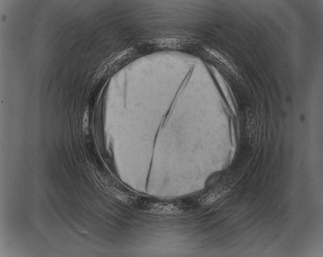 X0000085740502200704091513