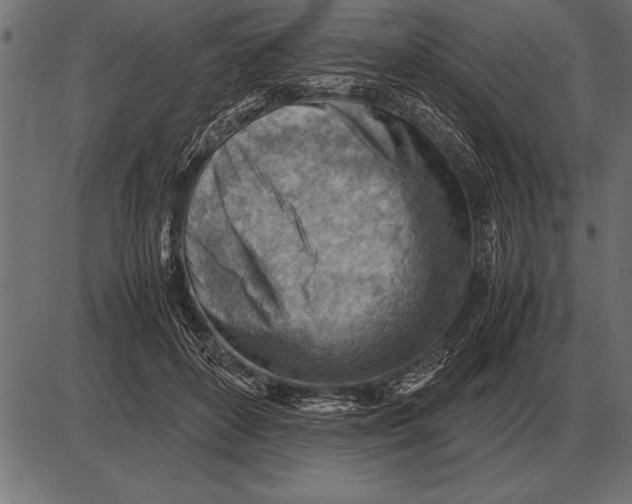 X0000085740504200704091513