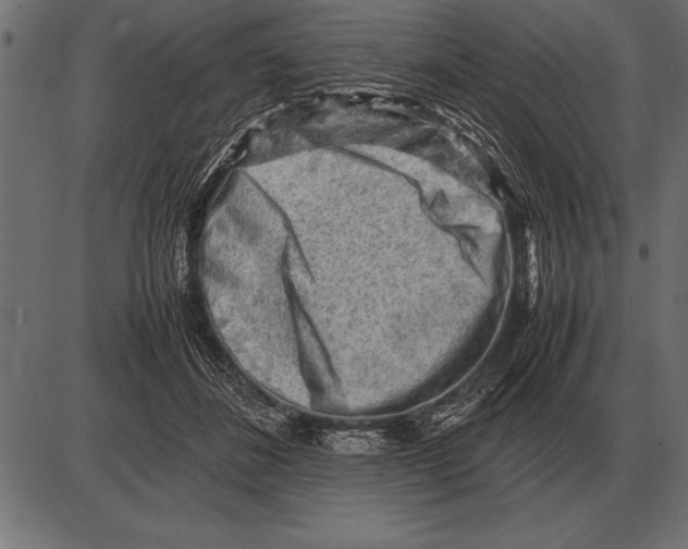 X0000085740508200704091513