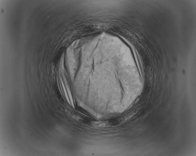 X0000085740511200704091513